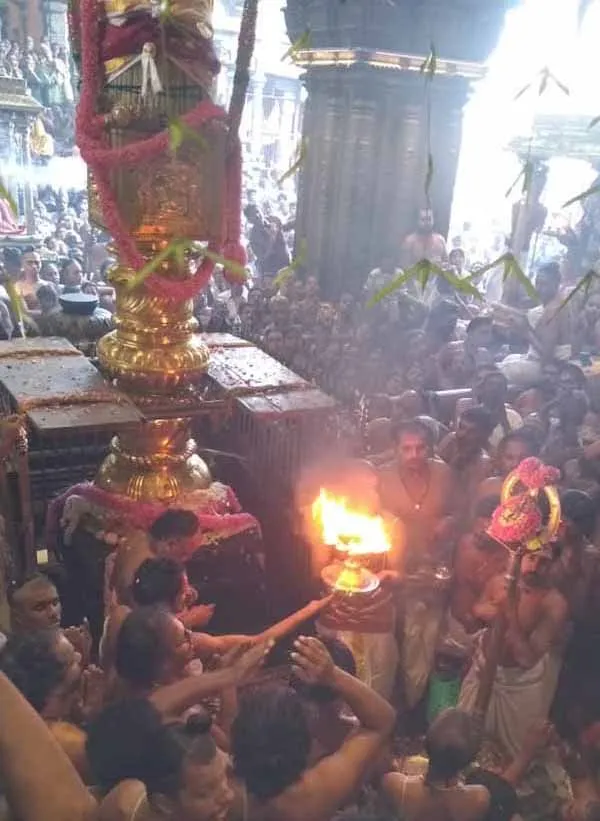 Ani Tirumanjanam performed at the Nataraja temple for the darshan